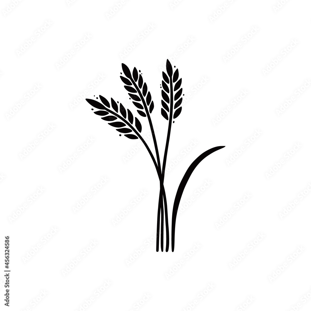 Wheat, barley, rice icon. Hand drawn sketch style oat with grain. Wheat isolated vector illustration. Wheat, barley, rice icon. Hand drawn sketch style oat with grain. Wheat isolated vector illustration.