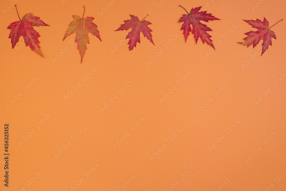 Autumn creative composition. Fallen red maple leaves on a light background. Fall concept. Autumn background. Flat lay, top view, copy space, banner Autumn creative composition. Fallen red maple leaves on a light background. Fall concept. Autumn background. Flat lay, top view, copy space, banner