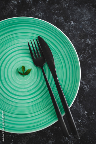 empty green plate with only a couple of little lieaves on it, eating more plants or calories restriction photo