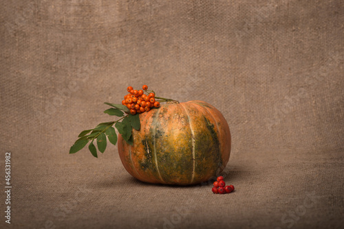 autumn still life with a pumpkin and ashberry on canvas background