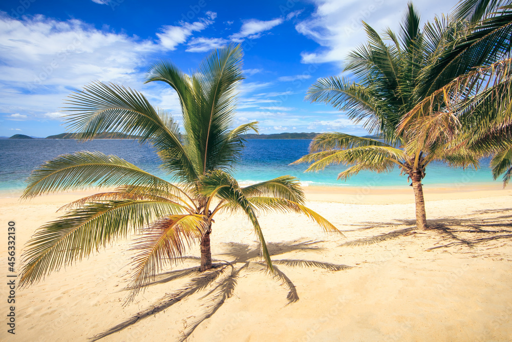 Obraz premium Lonely Beach With Palm Trees