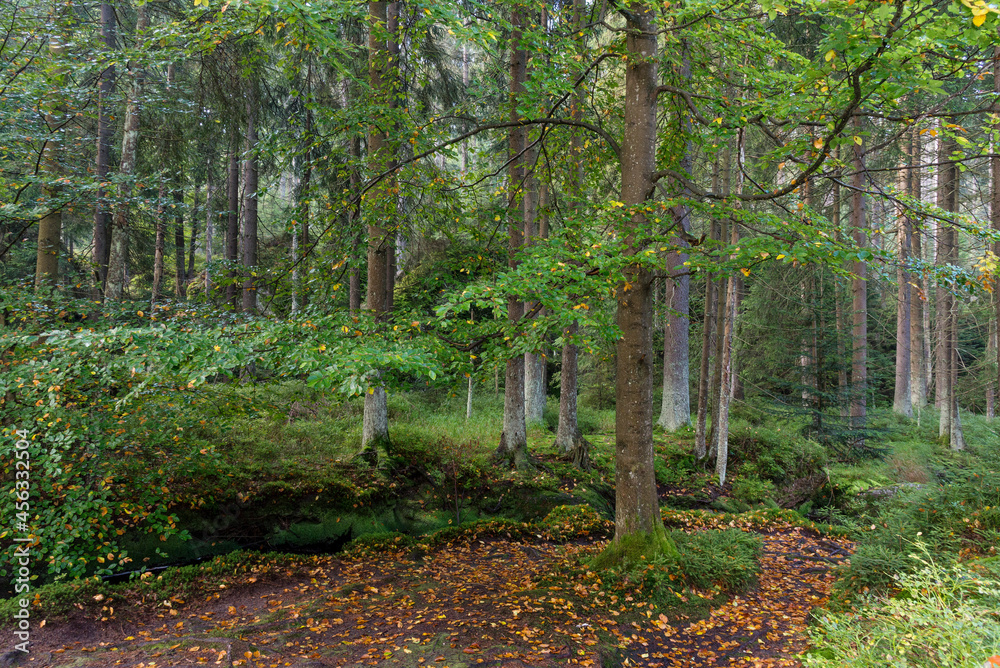 Herbstanfang Herbstanfang