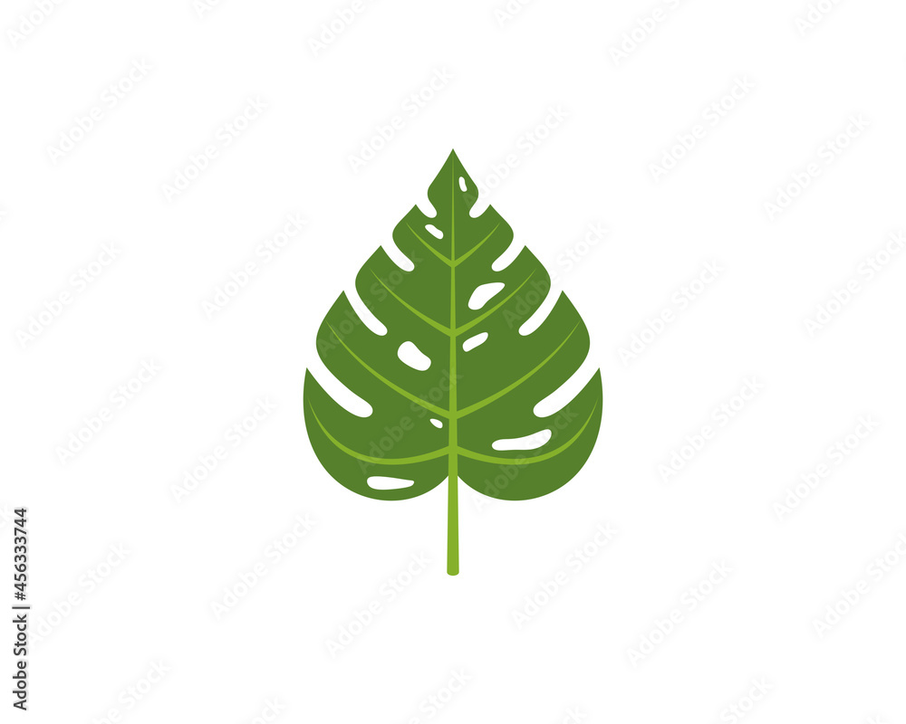 Monstera leaf vector illustration logo Monstera leaf vector illustration logo