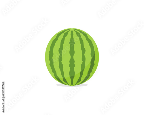 Watermelon cartoon vector illustration