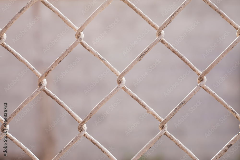 Fototapeta premium Wire Mesh Fence