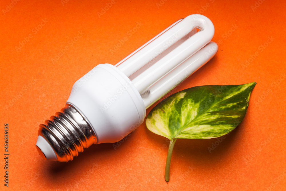 Light bulb for the Green world Light bulb for the Green world