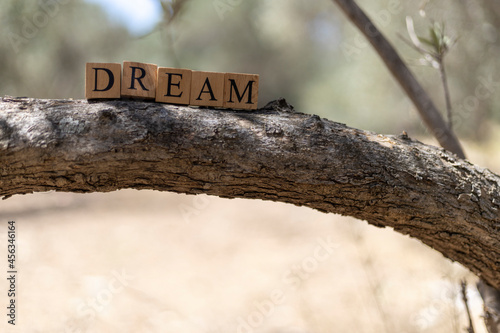 The word Dream was created from wooden cubes. photo