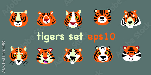 Set of assorted drawn tiger heads