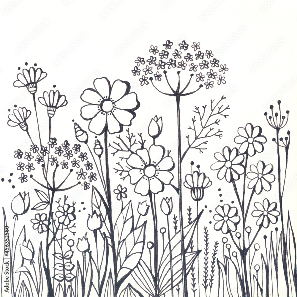 Fototapeta Blooming meadow with different wildflowers. Hand drawn image by gel pen. Antistress coloring book with flowers.