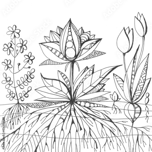 Floral drawing. Sketch with fantasy flowers, leaves and roots. Black and whit...