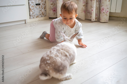 adorable baby playing with decorative rabbit at home