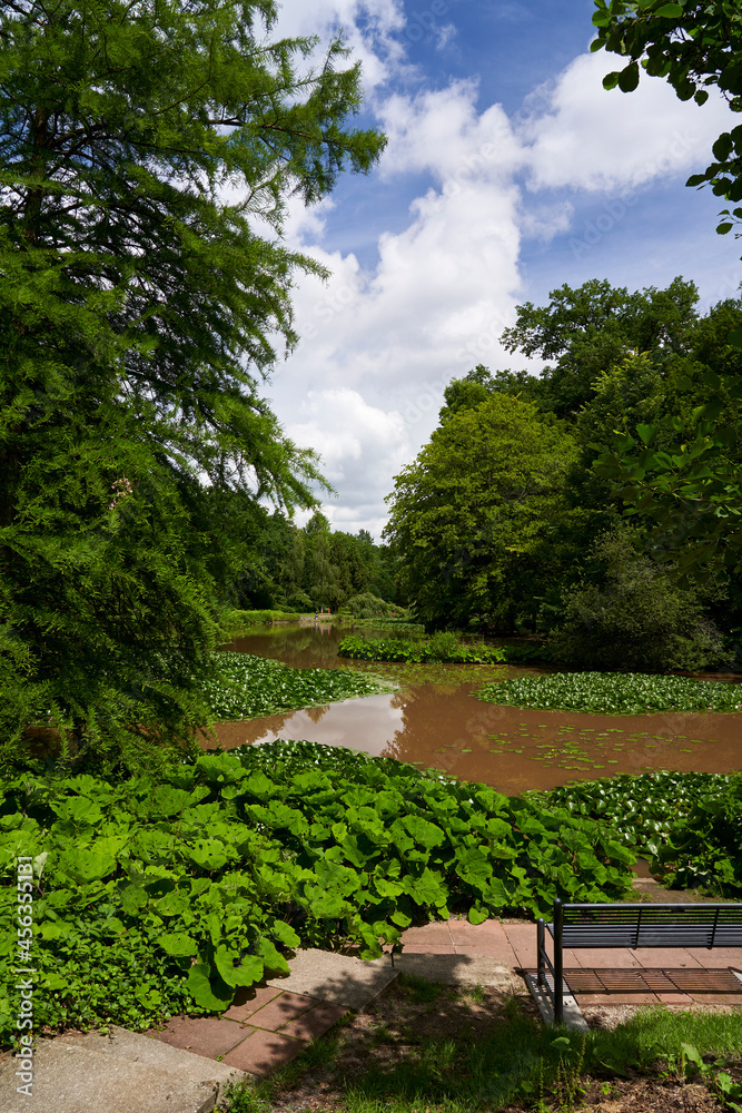 Der Hainpark in der UNESCO-Weltkulturerbestadt Bamberg, Oberfranken, Franken, Bayern, Deutschland