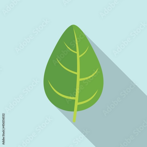 Aromatic basil icon flat vector. Spice leaf