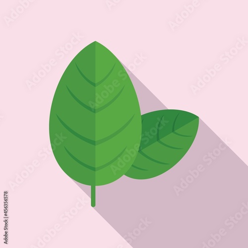 Basil spice leaf icon flat vector. Herb plant