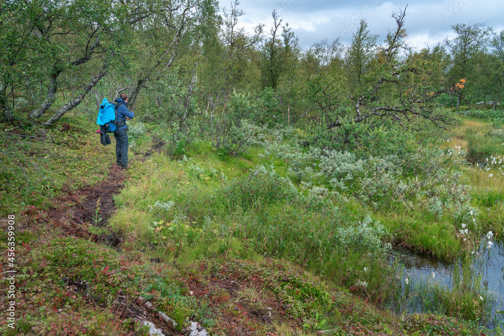 Female hiker walking through muddy forest in Stora Sjofallet national park in Swedish Lapland, on a cloudy day of arctic summer.