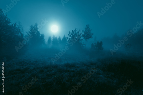 Night mysterious landscape in cold tones. Foggy silhouettes of the trees and full moon on the dramatic night sky.
