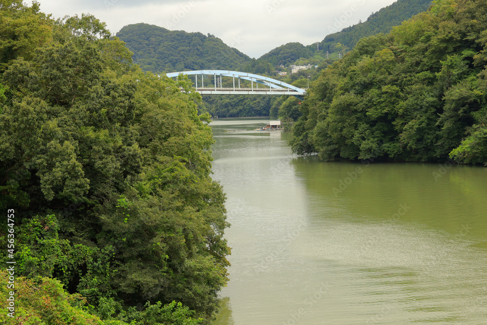 Obraz premium bridge over the river