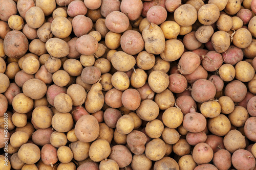 Full frame shot of a potato. fresh raw potatoes. Background and texture.