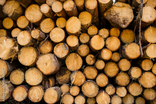 Pile of wood logs. Firewood ready for winter.