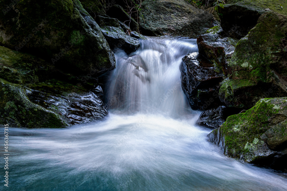 There are small waterfalls in the primeval forest. The water is very clear There are small waterfalls in the primeval forest. The water is very clear