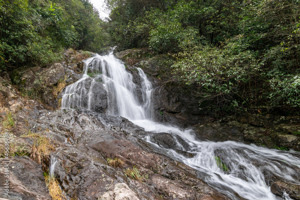 There are small waterfalls in the primeval forest. The water is very clear There are small waterfalls in the primeval forest. The water is very clear