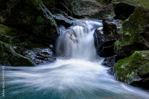 There are small waterfalls in the primeval forest. The water is very clear