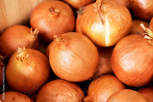 Onions on nature background.