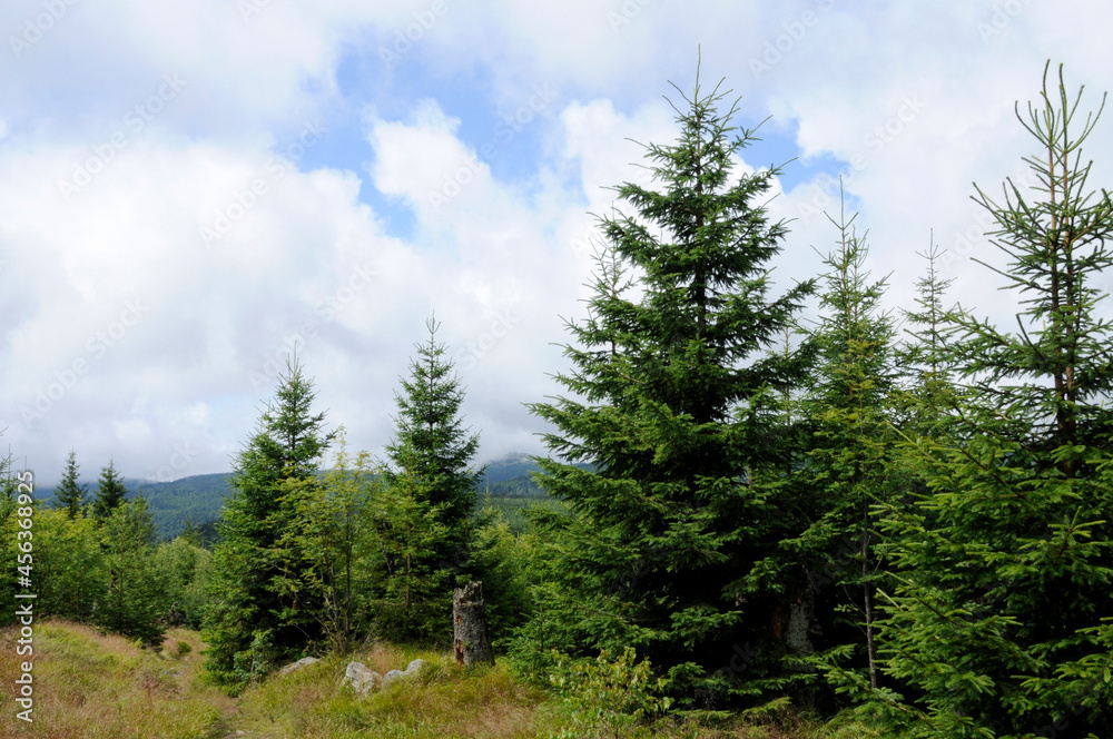 Wandern in der Nationalpark Bayerischer Wald 