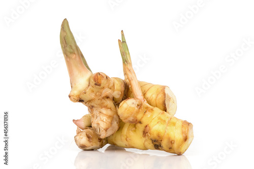 Galangal or alpinia galanga rhizome isolated on white surface. photo