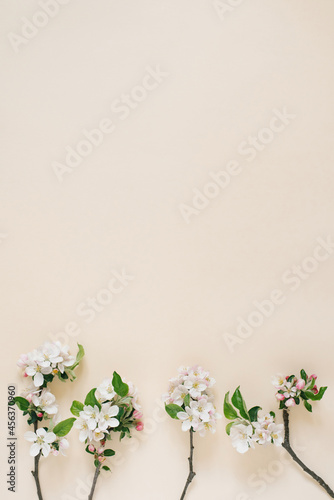 Minimalistic concept. Branches of an apple tree with white flowers on a beige background. Creative lifestyle, spring concept. Copy space, flat lay, top view.