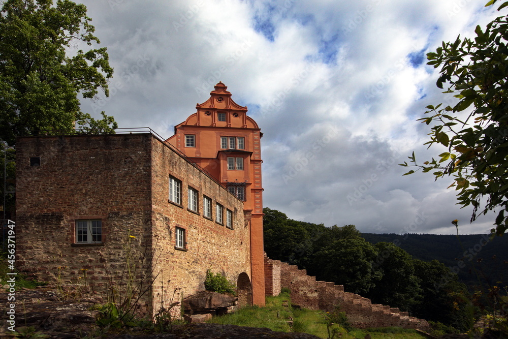 Hirschhorn Schloss