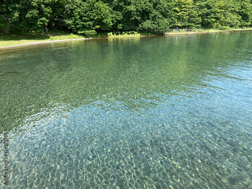 lake in the park