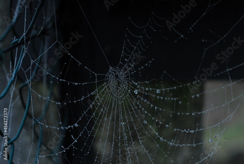 A spider web, spiderweb, spider's web, or cobweb is a structure created by a spider out of proteinaceous spider silk extruded from its spinnerets, generally meant to catch its prey.