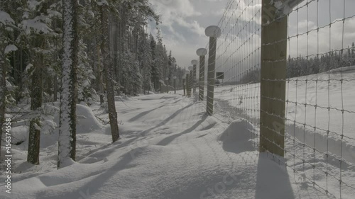 Snowy Forest | Protection Wire Fence, Banff Park photo