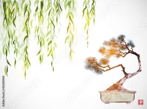 Bonsai pine tree and green willow leaves. Traditional oriental ink painting sumi-e, u-sin, go-hua. Hieroglyph - happiness.