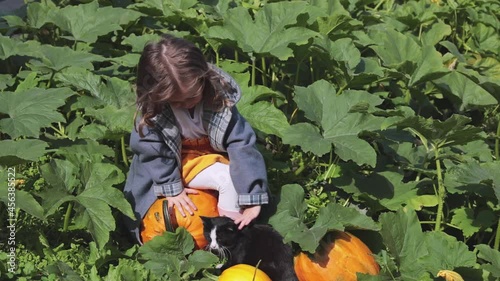 The girl is stroking the cat. Field with yellow pumpkin on the farm. Horizontal video with people and animals.