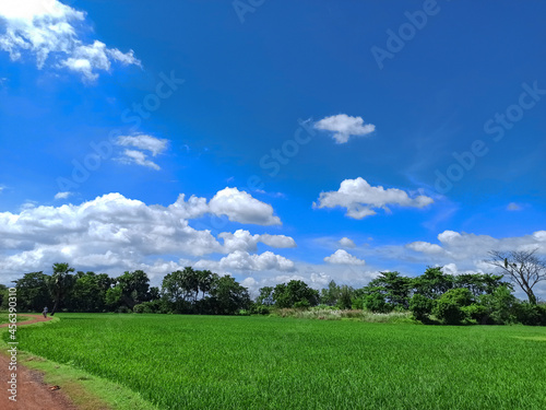 green field and blue sky