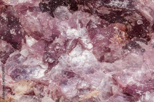 Wallpaper Mural Macro mineral stone Lepidolite in the rock a white background Torontodigital.ca