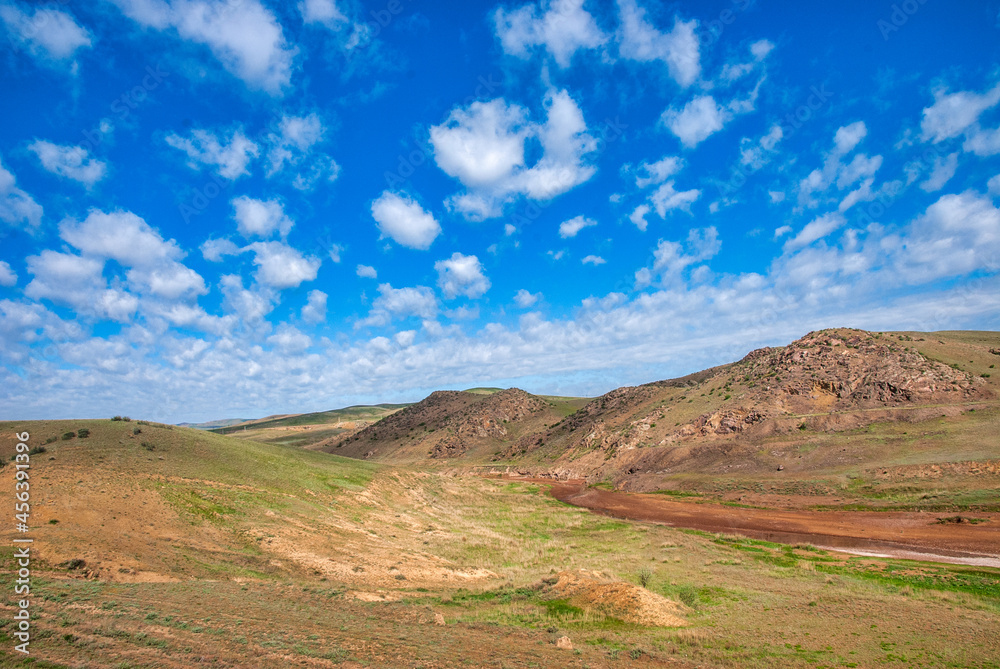Fototapeta premium country road in the desert