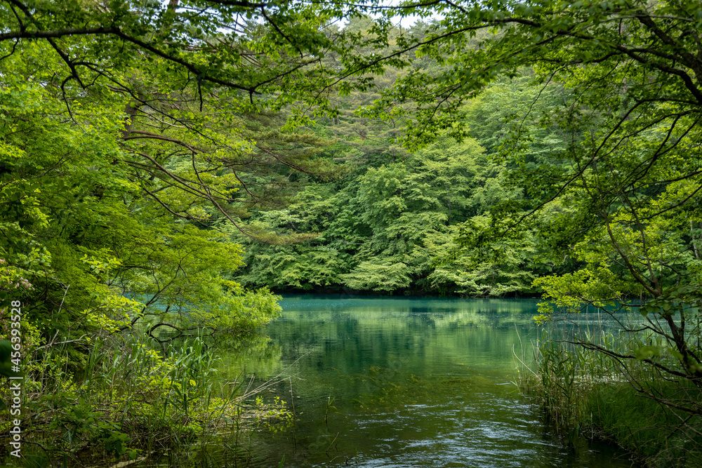 五色沼