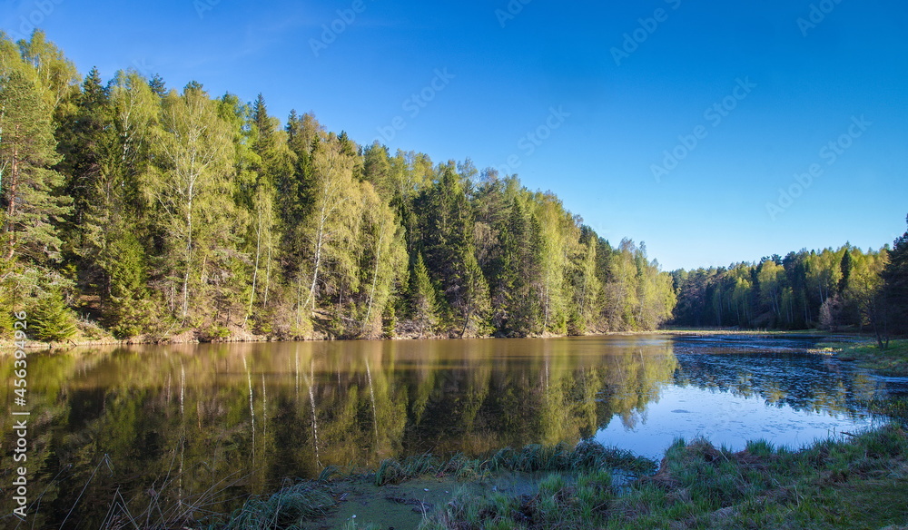 River and trees against the blue sky in summer