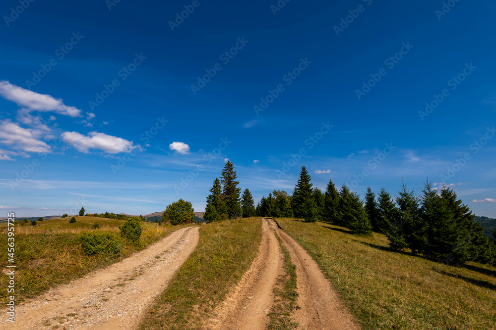 Two parallel dirt roads leads to  the top of the mountain in Transylvania, Romania.