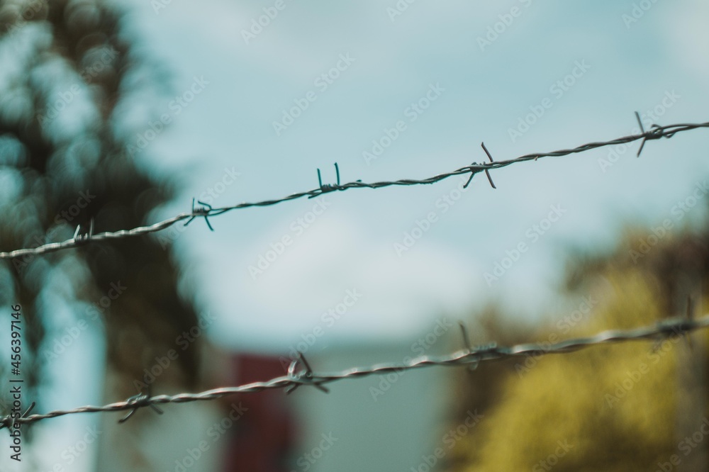 barbed wire fence barbed wire fence