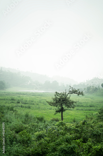 A scenic view of a landscape captured during dawn with fog.