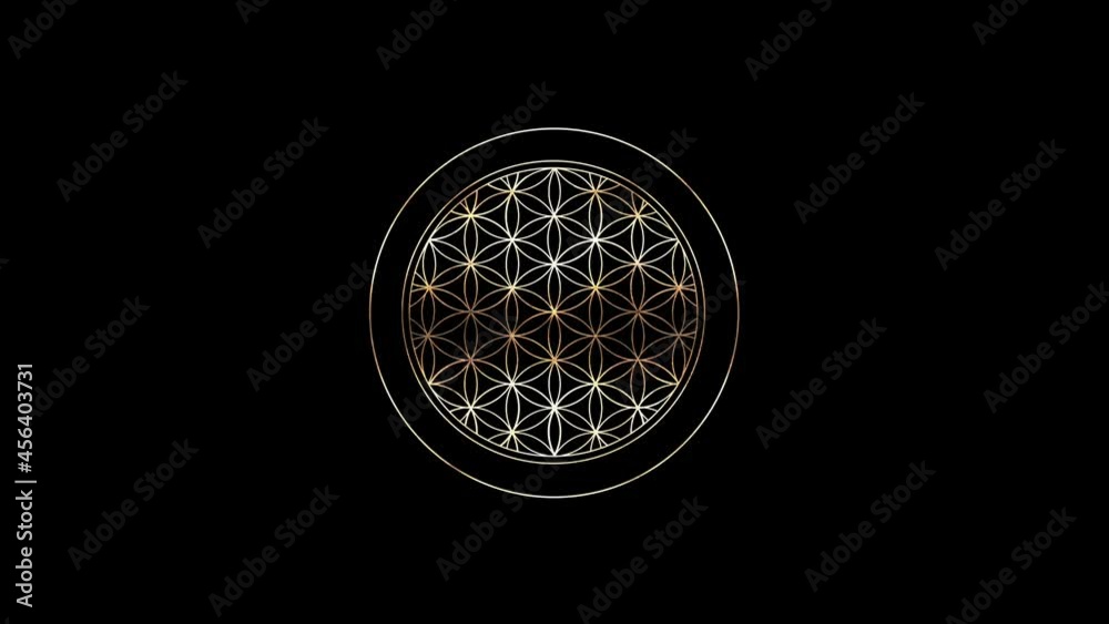 Golden Flower of Life sacred geometry black background