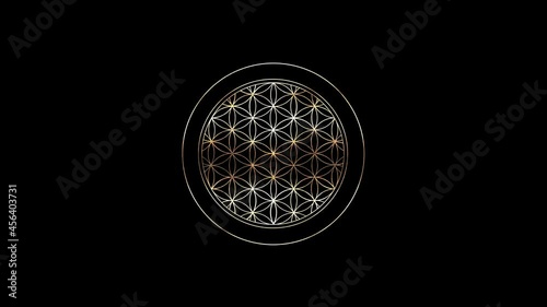 Golden Flower of Life sacred geometry black background