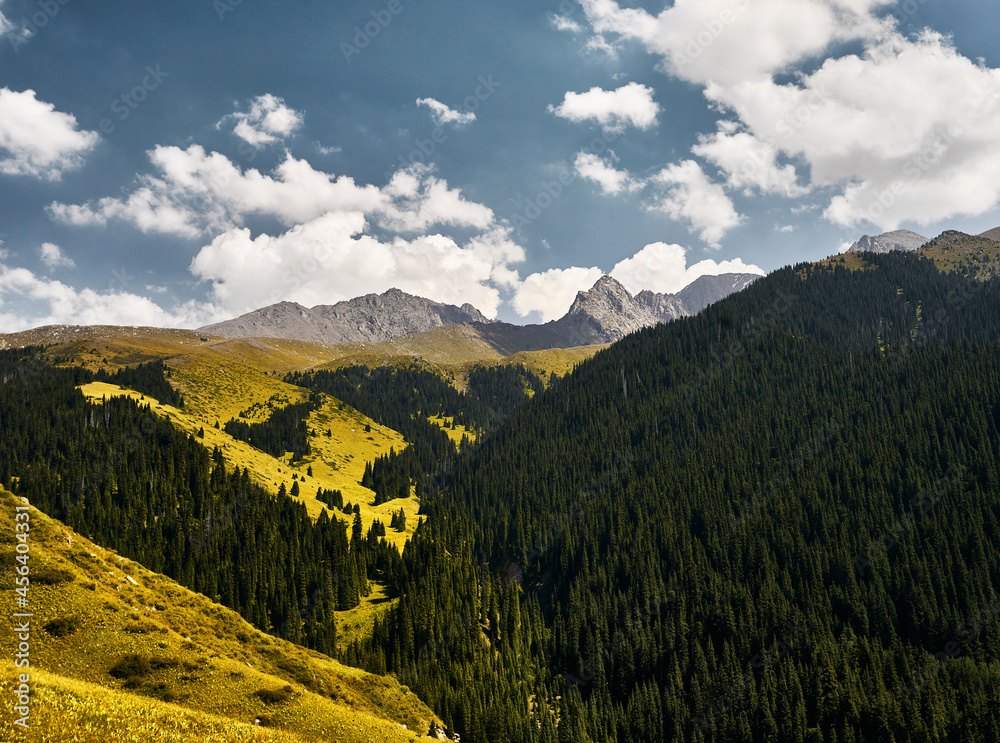 Mountain valley scenery and green forest in Kazakhstan