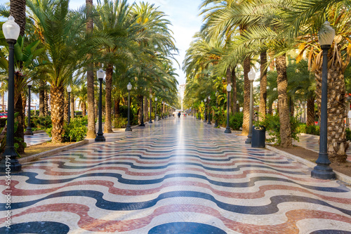  Paseo de la Explanada with its palm trees and its characteristic pavement mosaics in the early morning. Alicante