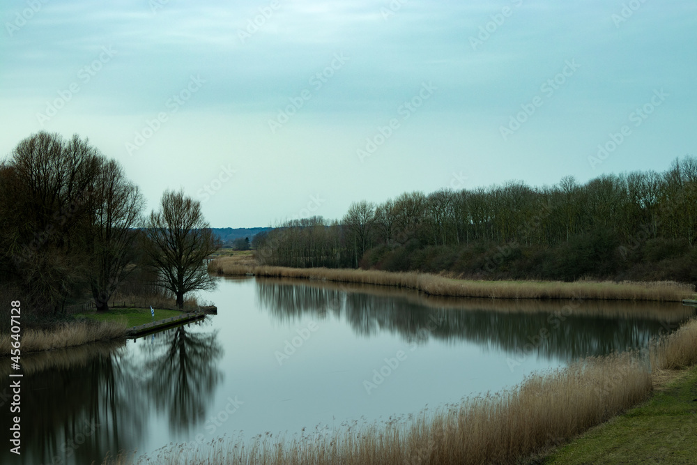 
This is a picture of a river in the netherlands. There are trees, grass and reed.