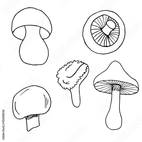 Set cute mushroom in doodle style. Black and white vector illustration. Autumn decoration. Forest mushroom. Isolated on white background. Illustration for coloring pages, sketch, outline